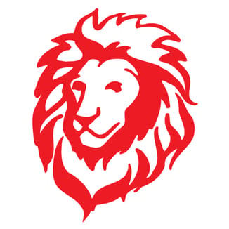 LION Photo