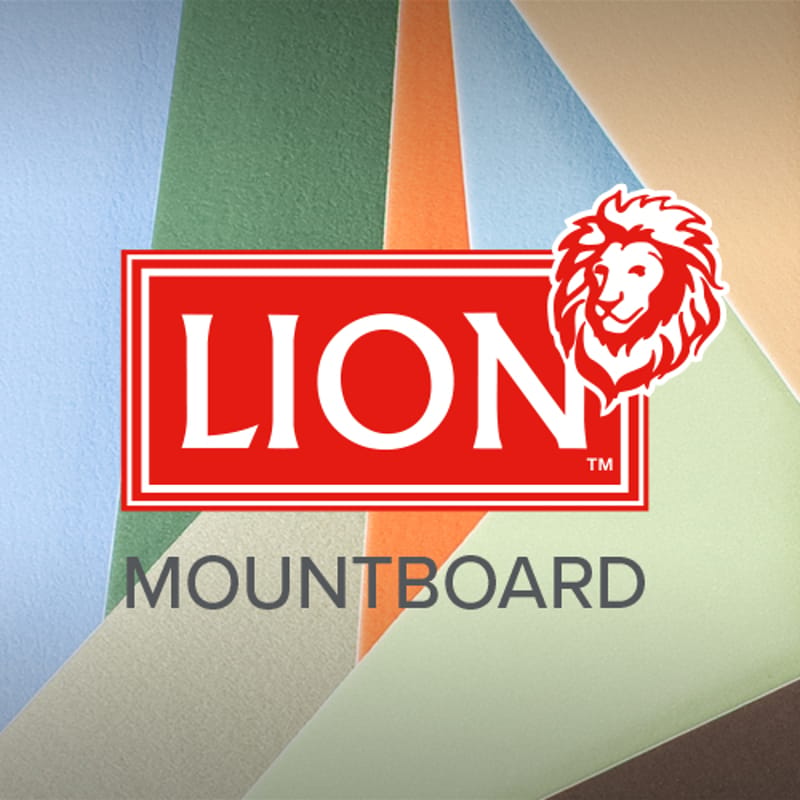 LION Mount Board