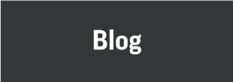 LION Blog