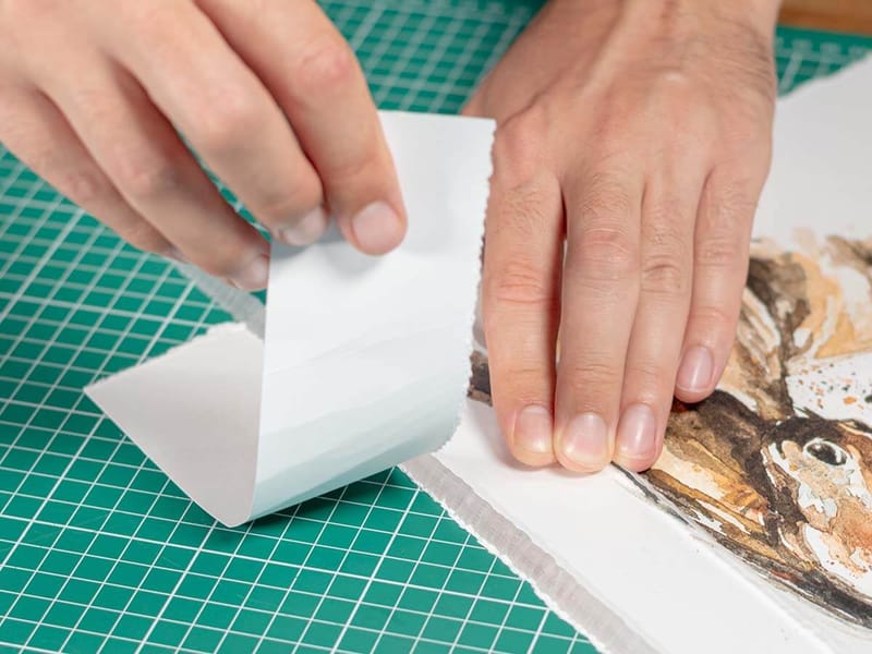Deckle Edge